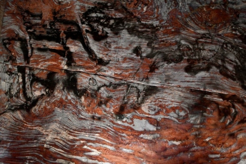 194 Jordan Petra 20211118