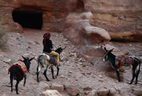 200 Jordan Petra 20211118