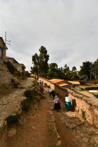 0452 Bolivia Titicaca 20221022