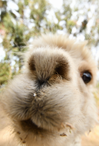 0455 Bolivia Titicaca 20221022