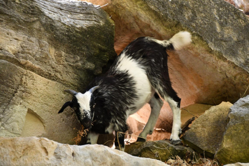 026 Cyprus NorthWest 20220620