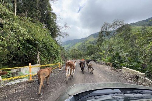 100 Colombia OnTheRoad 20241117