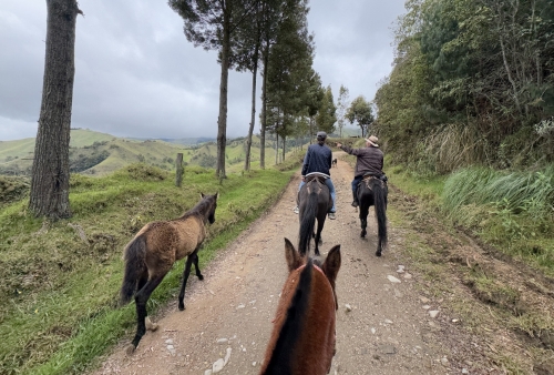 225 Colombia Salamina 20241119