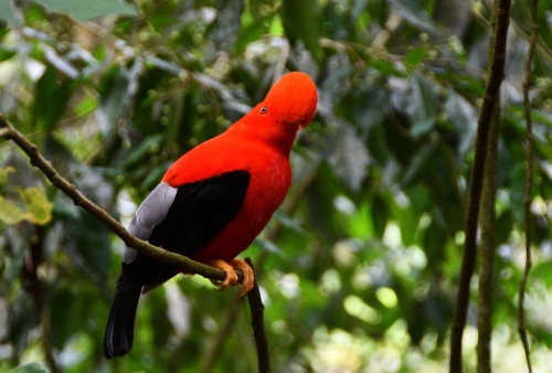 243 Colombia Jardin 20241120