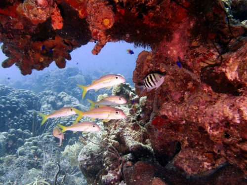 087 20170418 bonaire angelcity