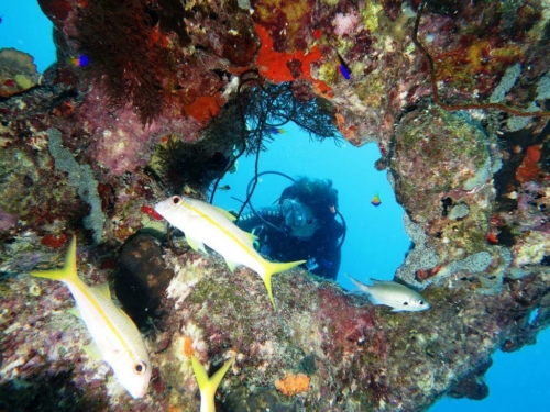 088 20170418 bonaire angelcity