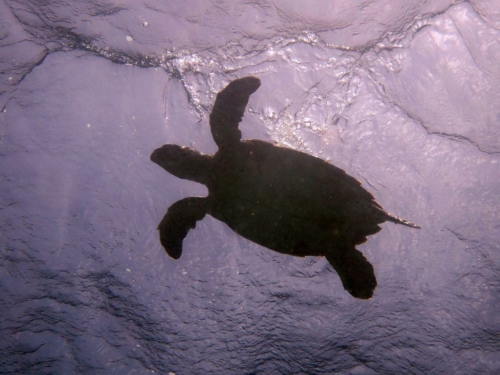 095 20170418 bonaire angelcity