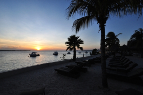 019 20200921 Buddy Bonaire