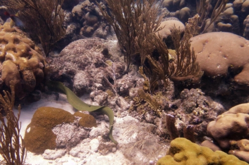 076 20200922 SaltPier Bonaire