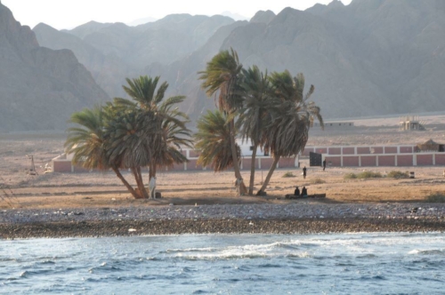006 dahab 2009