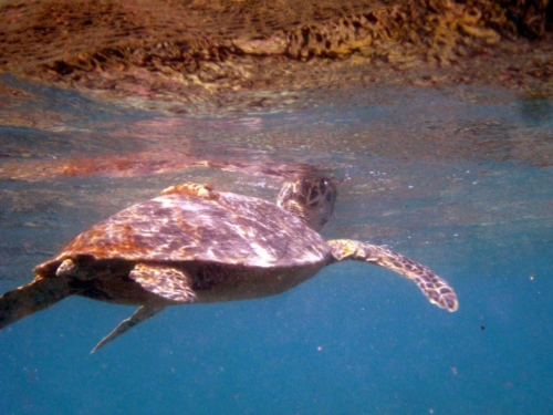 023 brayka bay north