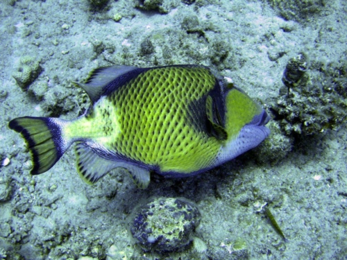 127 brayka bay north