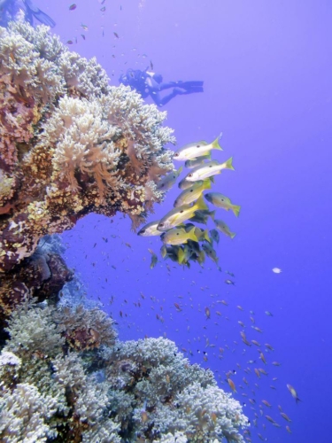 ???????????????????????????????