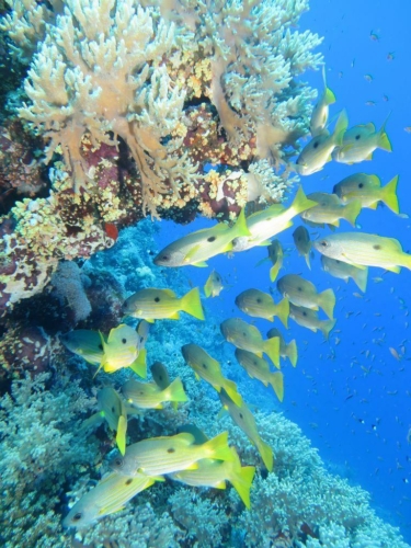 ???????????????????????????????