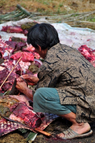 032 sulawesi above toraja