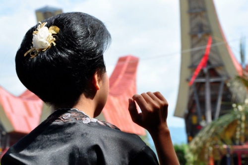 050 sulawesi above toraja