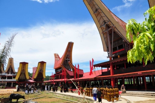 118 sulawesi above toraja