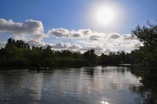 023 NL Biesbosch 20200608