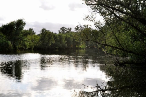029 NL Biesbosch 20200608