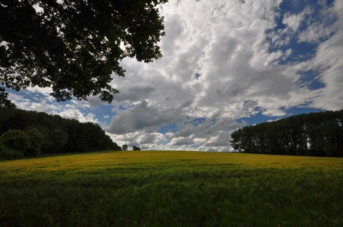 270 NL Limburg 20200613