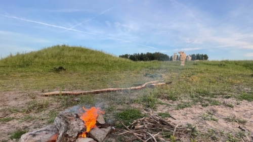 012 2020614 Bommellerwaard