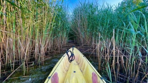 087 2020615 Bommellerwaard