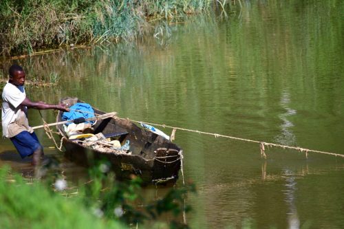 0940 Nyungwe 20260115