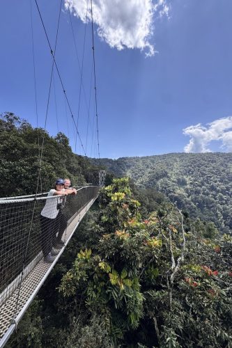 0979 Nyungwe 20260115