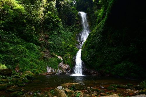 1011 Nyungwe 20260116