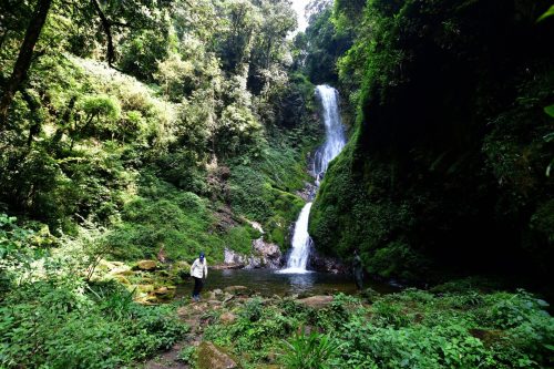 1017 Nyungwe 20260116