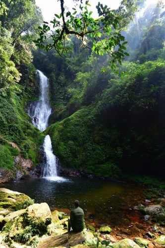 1022 Nyungwe 20260116