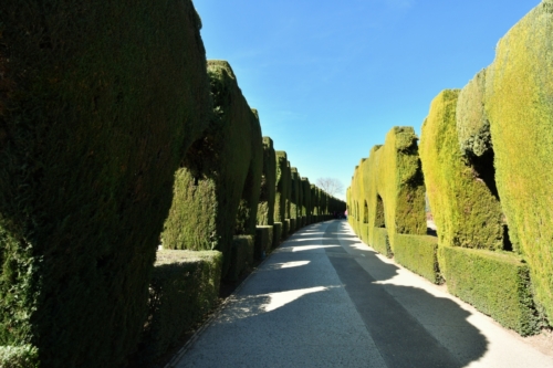 058 Andalusia Alhambra 20220221