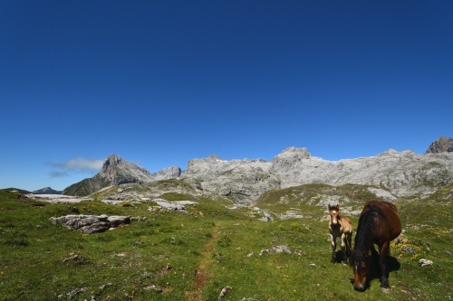 054 North Spain FuenteDe 20240701