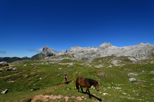 055 North Spain FuenteDe 20240701