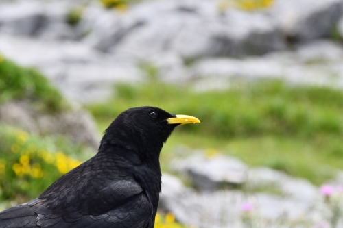 065 North Spain FuenteDe 20240701