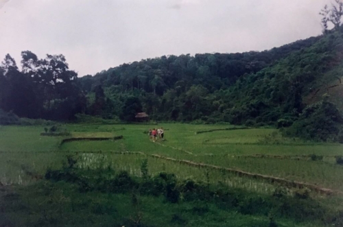 115 19910714 Changmai Thailand