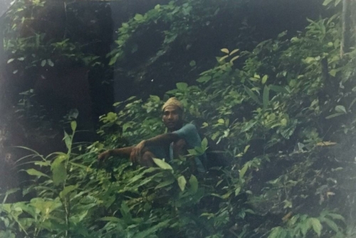 93 19910714 Changmai Thailand