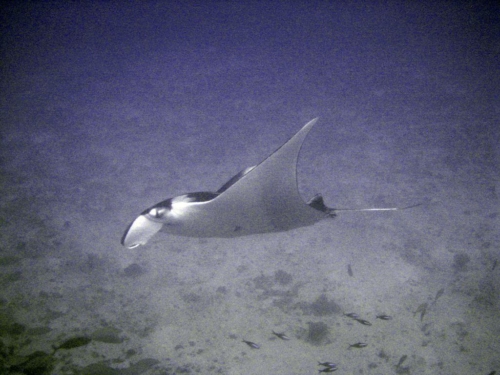 049 20140408 5 kohbon