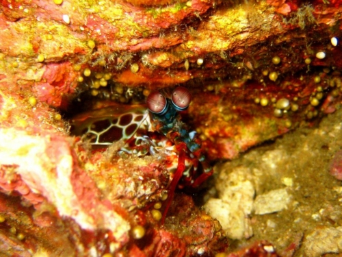 107 20140409 9 richeleurock