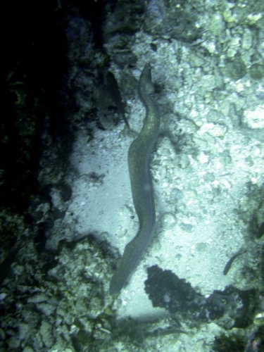 117 20140409 9 richeleurock