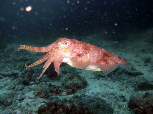 125 20140409 9 richeleurock 2