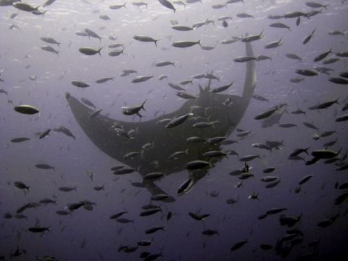 149 20140410 13 kohbon