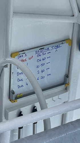 008 Thailand LOB Seadragon 20231024