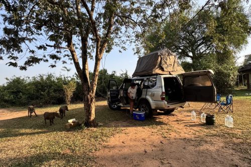 0120 Murchison 20260103