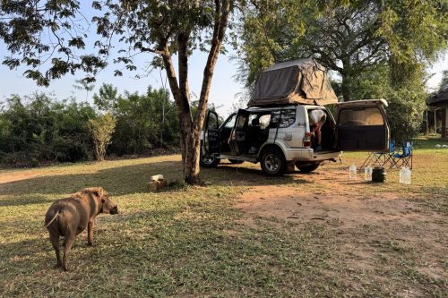 0121 Murchison 20260103