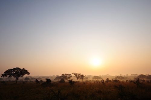 0127 Murchison 20260104