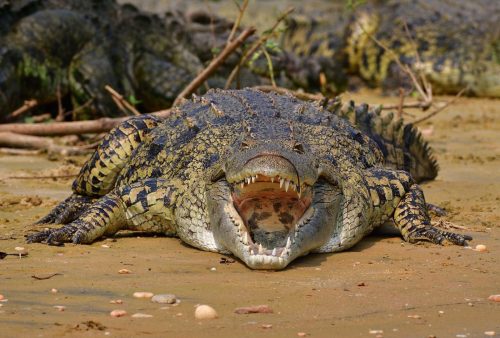 0134 Murchison 20260104