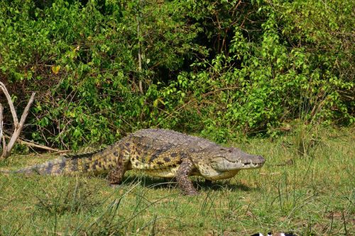 0144 Murchison 20260104