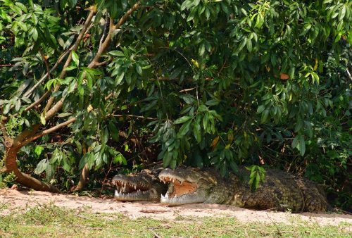 0146 Murchison 20260104