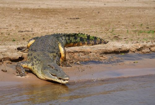 0152 Murchison 20260104